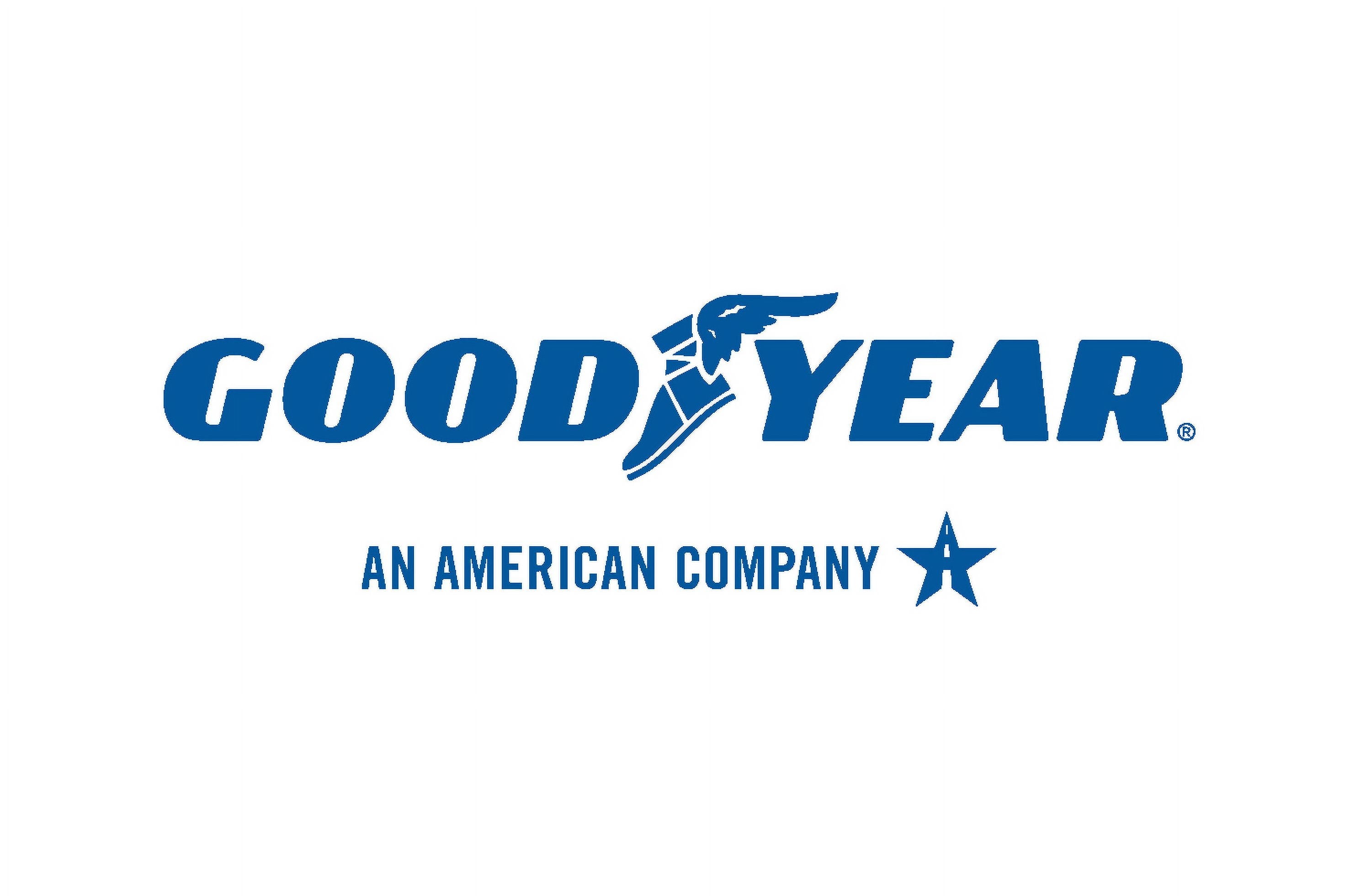 Goodyear Assurance Outlast 205/65R16 95H All-Season Tire Goodyear