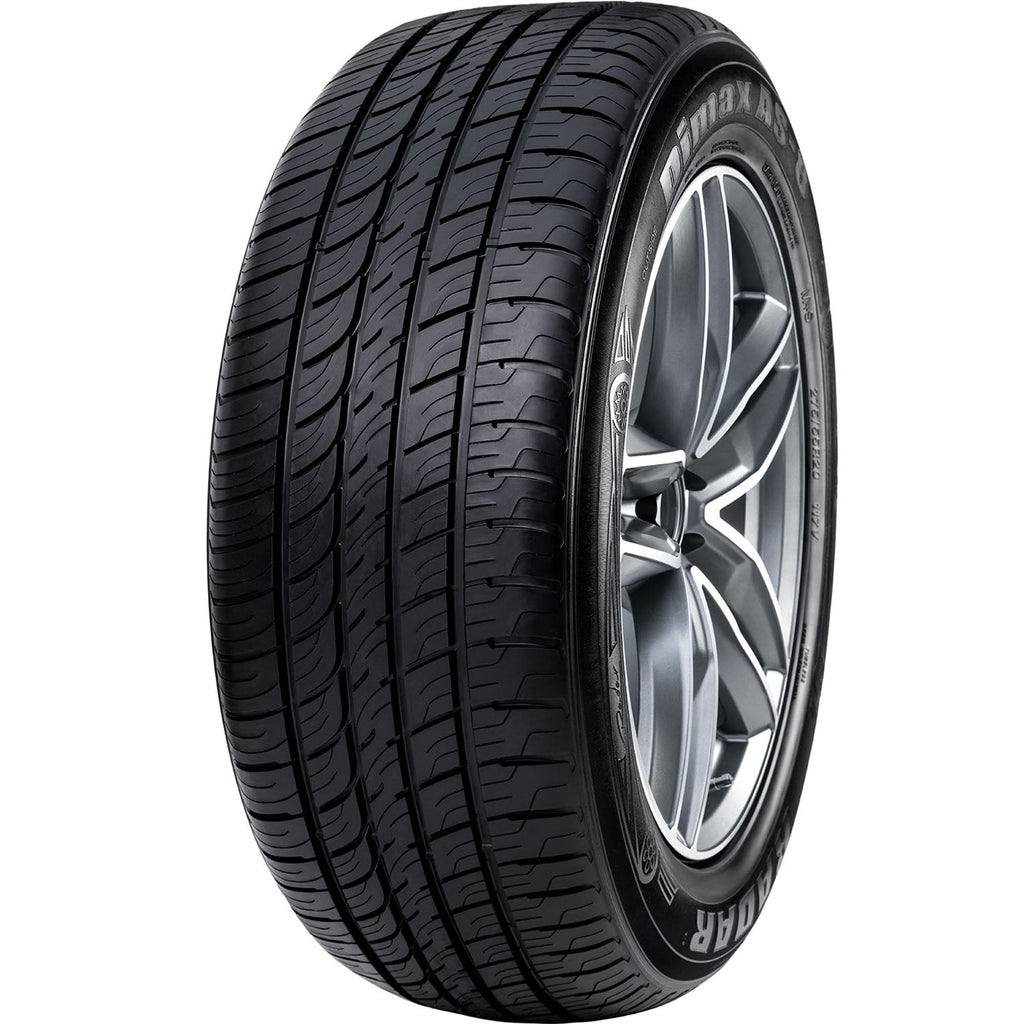 Radar Dimax AS-8 All Season 255/55R20 110W XL Passenger Tire Radar